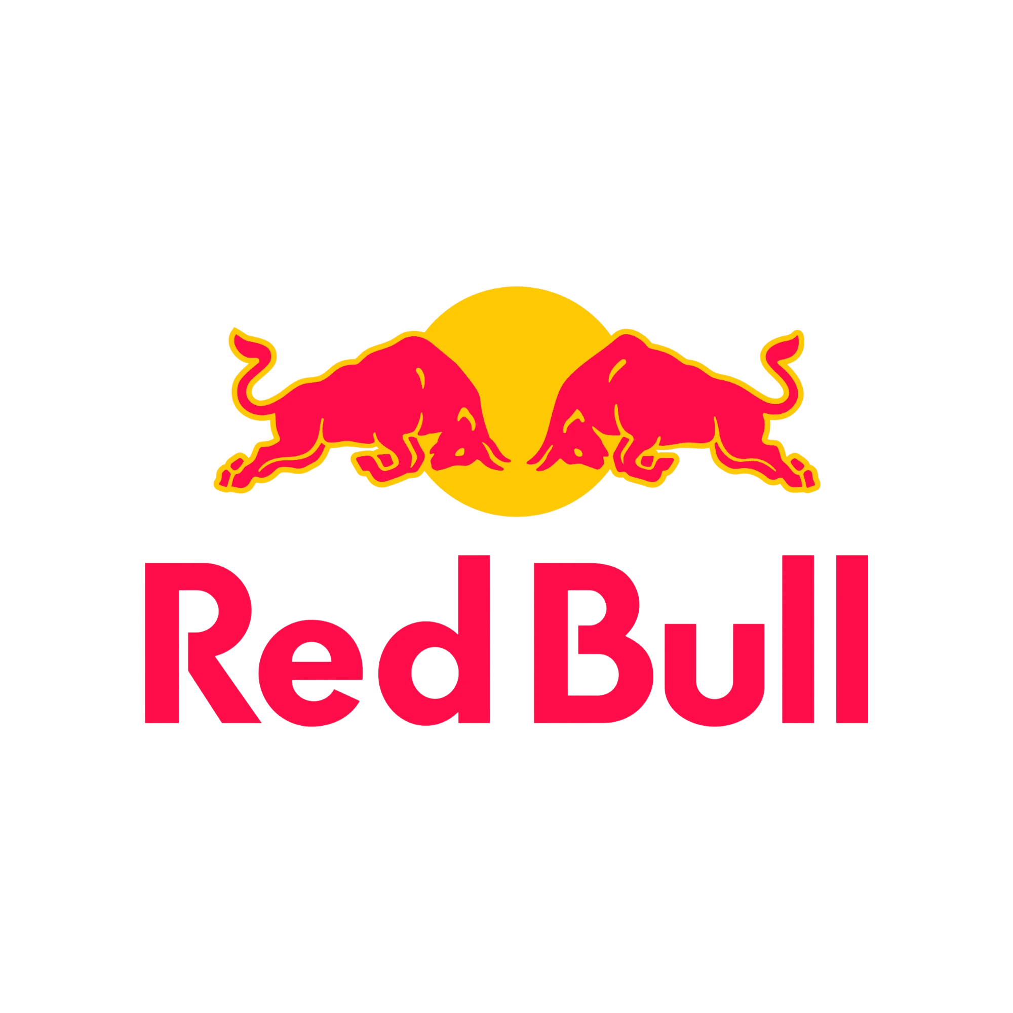 Red Bull Racing F1 Team